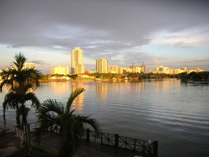 DSCN3145